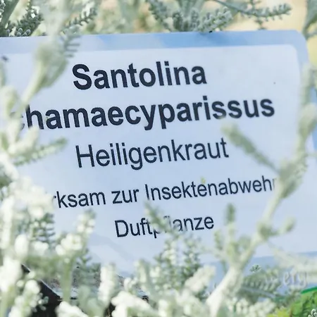 Gæstehus Kraeuterpension Rosenkranz 3*