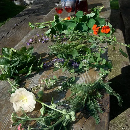 Πανσιόν Kraeuterpension Rosenkranz 3*