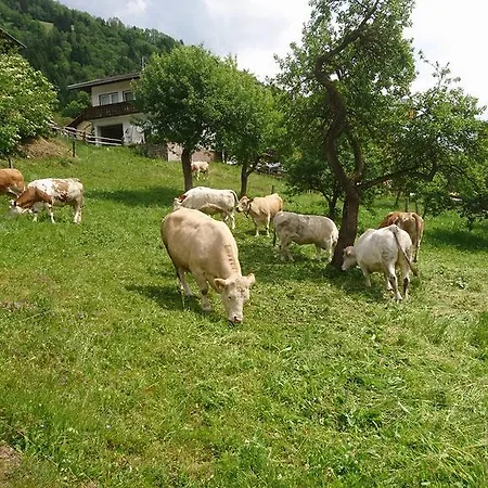 Kraeuterpension Rosenkranz 3* Rangersdorf