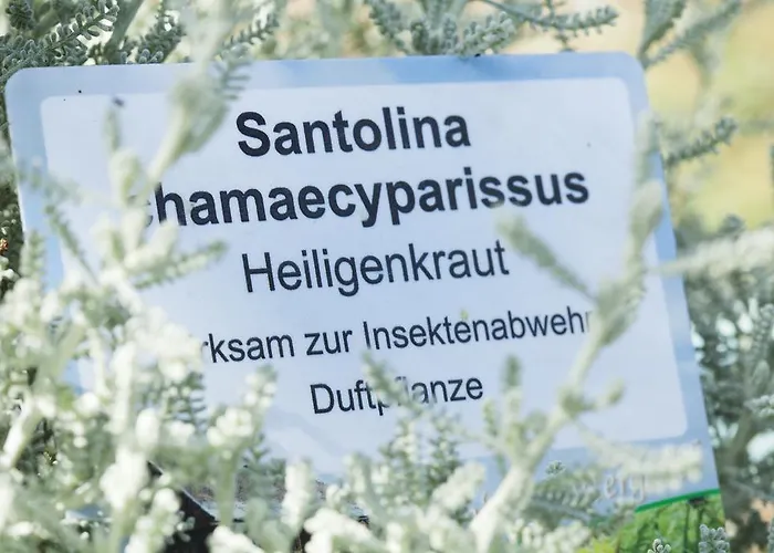 Vendégház Kraeuterpension Rosenkranz 3*