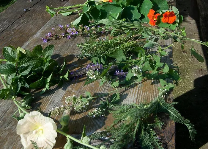 Vendégház Kraeuterpension Rosenkranz 3*