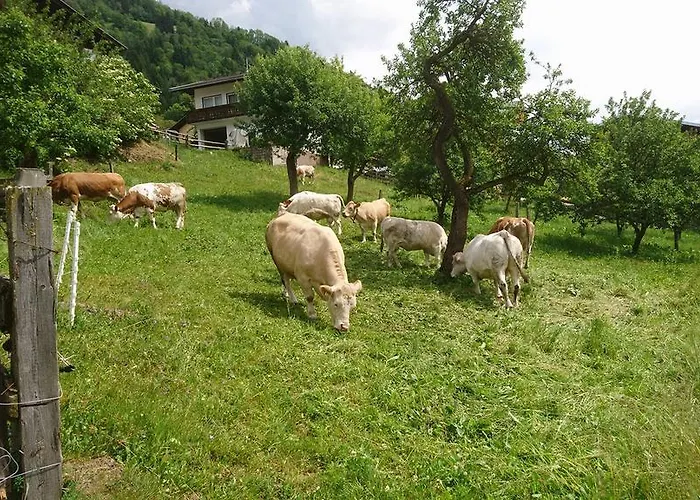 Kraeuterpension Rosenkranz 3* Rangersdorf